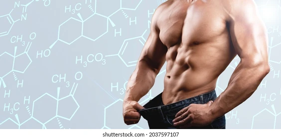 How Anabolic Steroids Work in the Human Body
